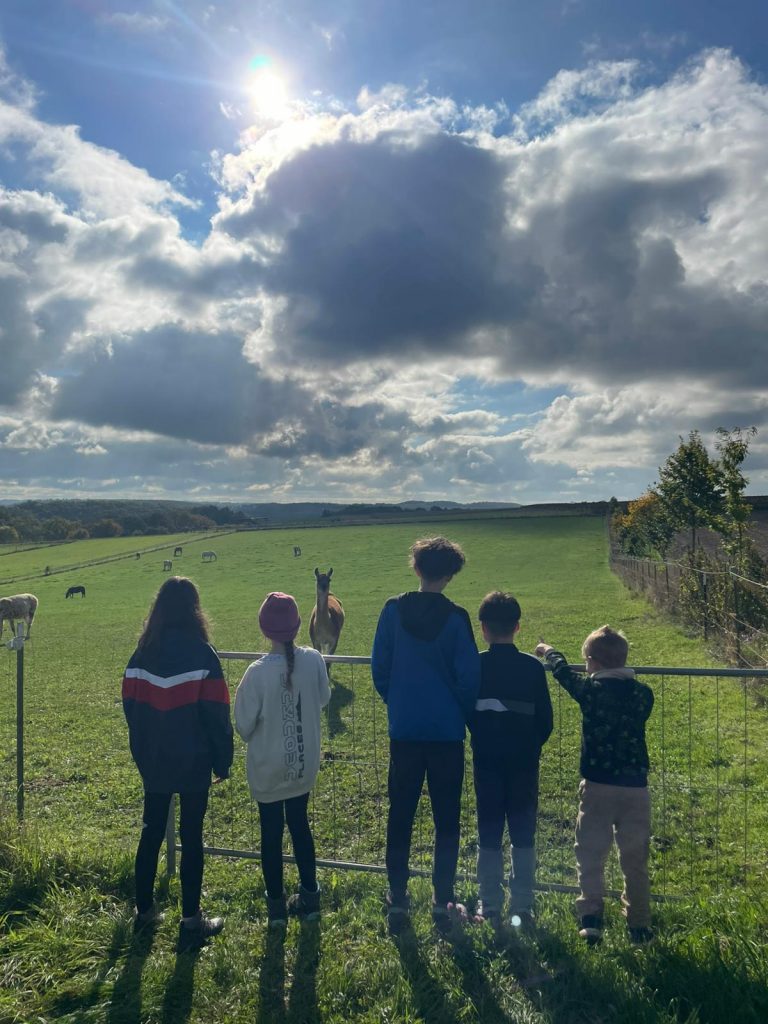 14.10. FP Herbst Münstermaifeld